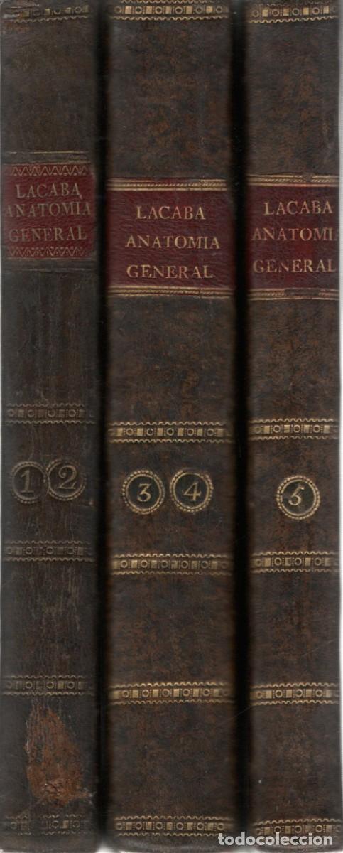 Libros de segunda mano: CURSO COMPLETO ANTOMIA GENERAL. LACABA, IGNACIO. A-MEDI-1207