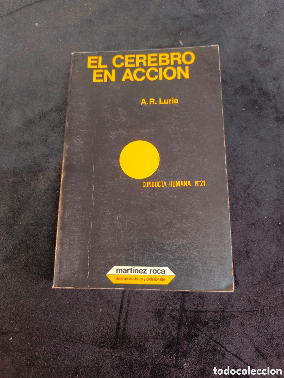 Libros de segunda mano: Libro &rdquo; El cerebro en acci&oacute;n&rdquo;