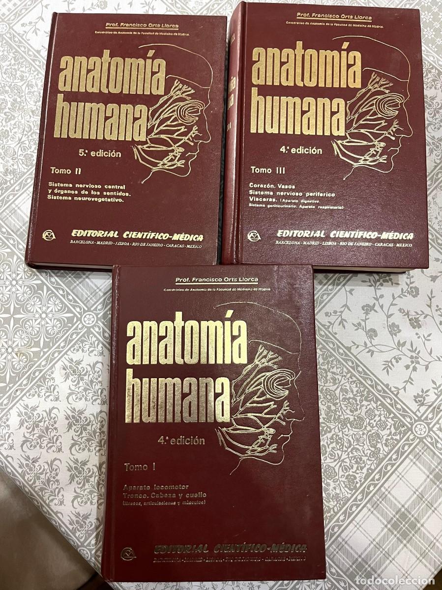 Libros de segunda mano: PROF. FRANCISCO ORTS LLORCA - ANATOM&Iacute;A HUMANA - 3 VOLS. ED CIENT&Iacute;FICO-M&Eacute;DICO.
