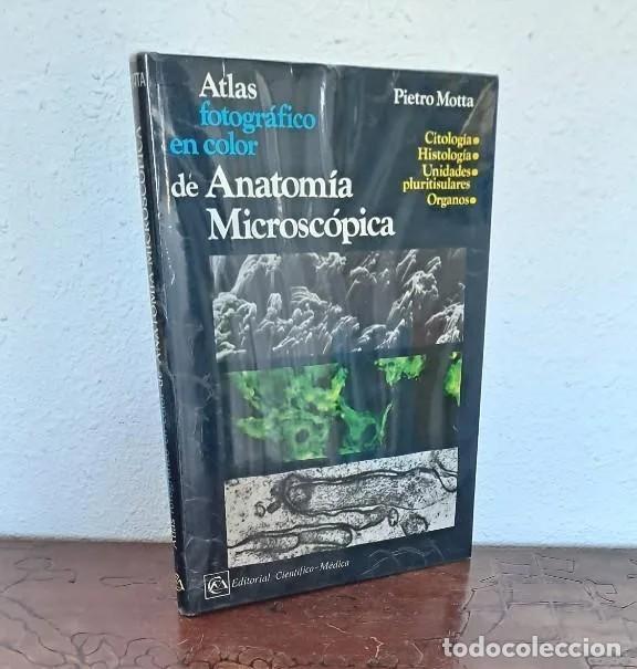 Libros de segunda mano: PIETRO MOTTA - ATLAS FOTOGR&Aacute;FICO EN COLOR DE ANATOM&Iacute;A MICROSC&Oacute;PICA - 1974