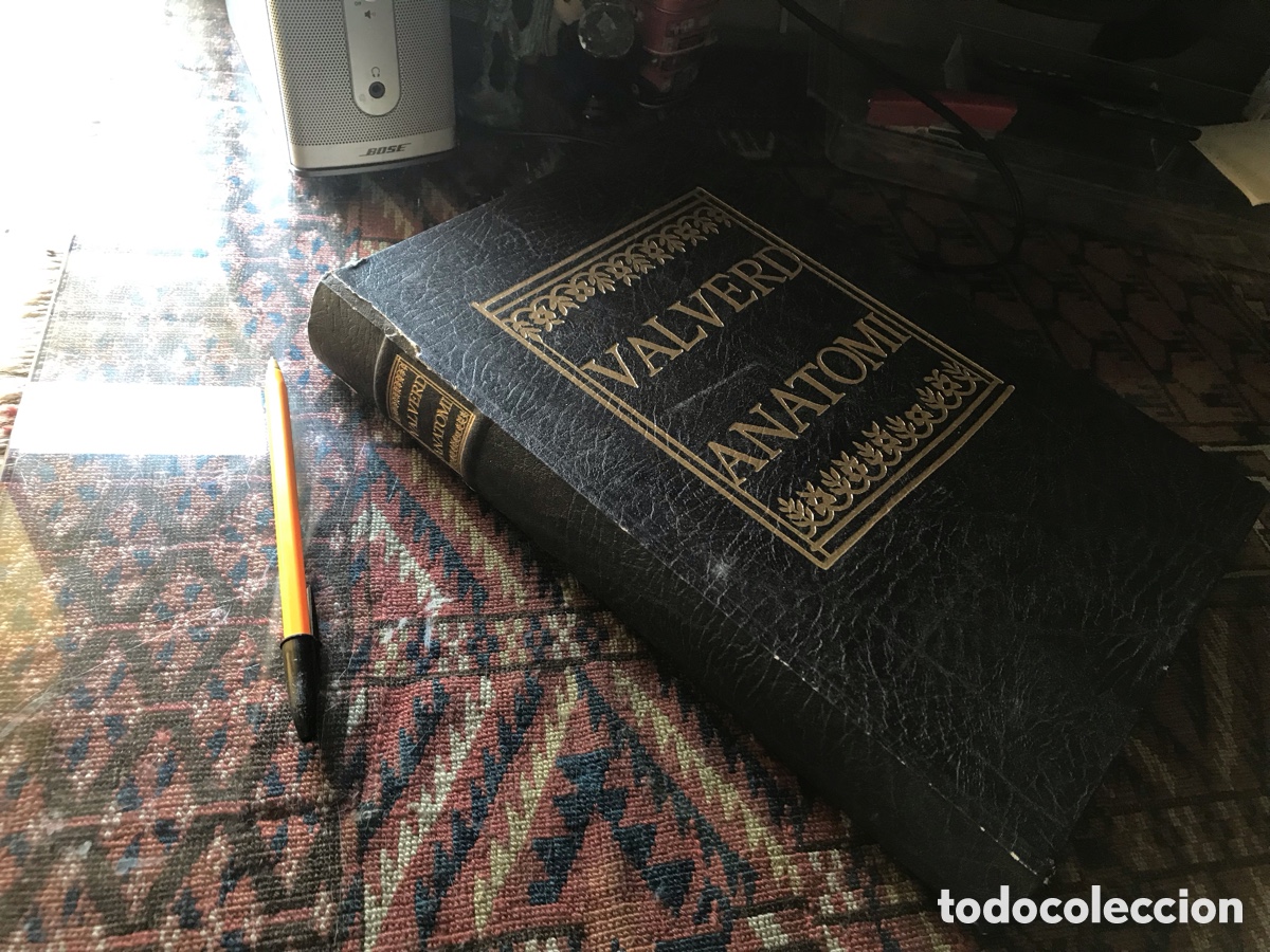 Libros de segunda mano: Historia de la anatom&iacute;a. Giouanni Valuerde. MDLX. Andreu grupo Roche