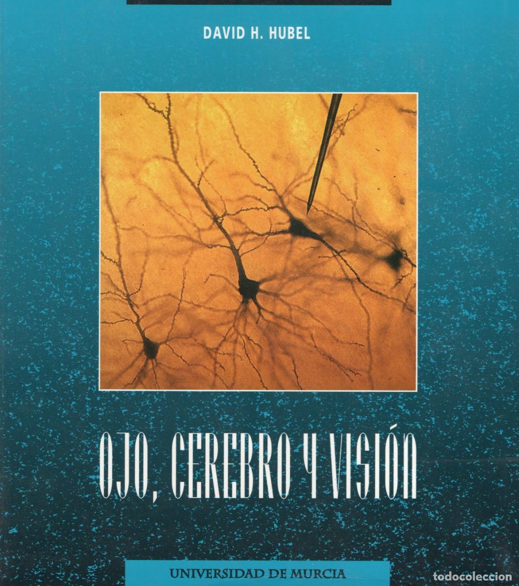 Libros de segunda mano: OJO, CEREBRO Y VISION HUBEL, DAVID H. A-MEDI-1218