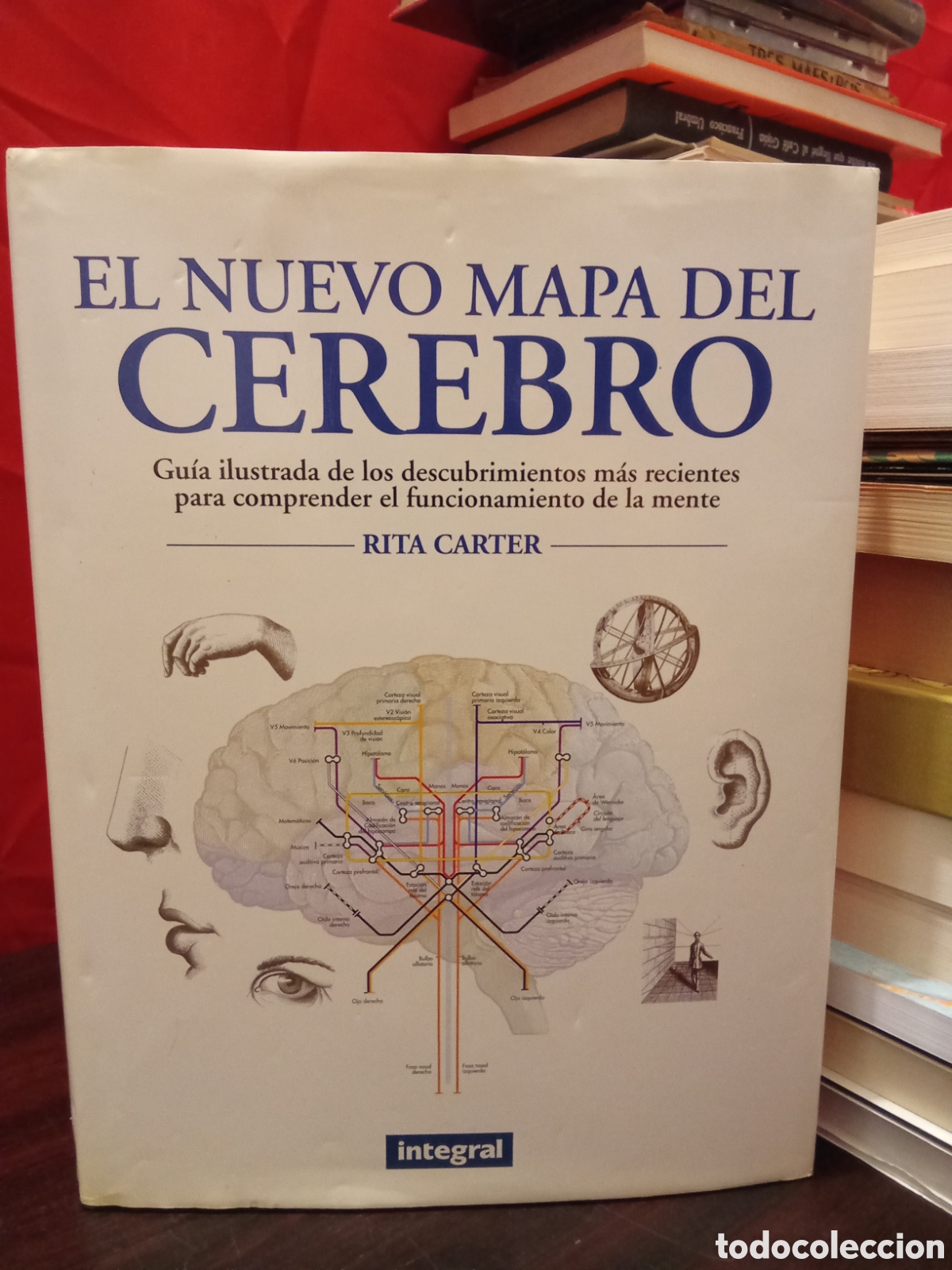 Libros de segunda mano: EL NUEVO MAPA DEL CEREBRO - Rita Carter