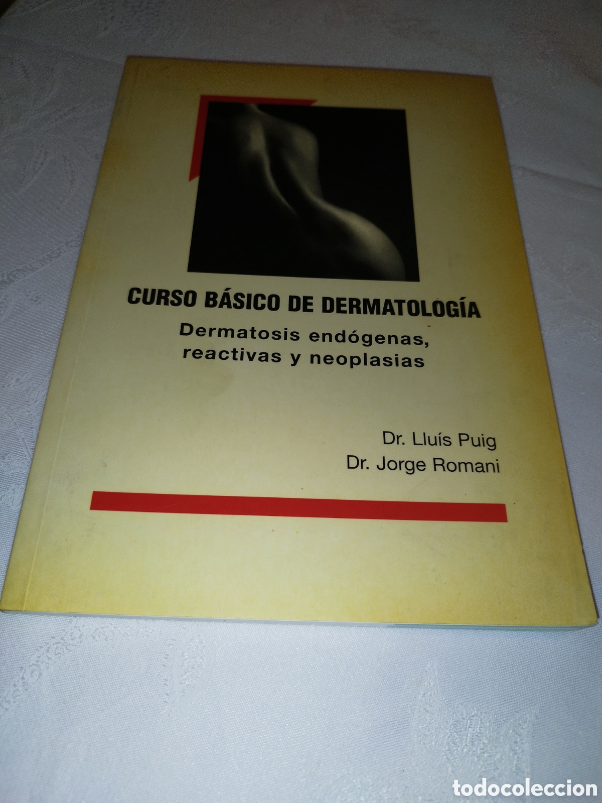 Libros de segunda mano: CURSO BASICO DE DERMATOLOGIA. DERMATOSIS ENDOGENAS, REACTIVAS Y NEOPLASIAS.- PUIG / ROMANI. 1997