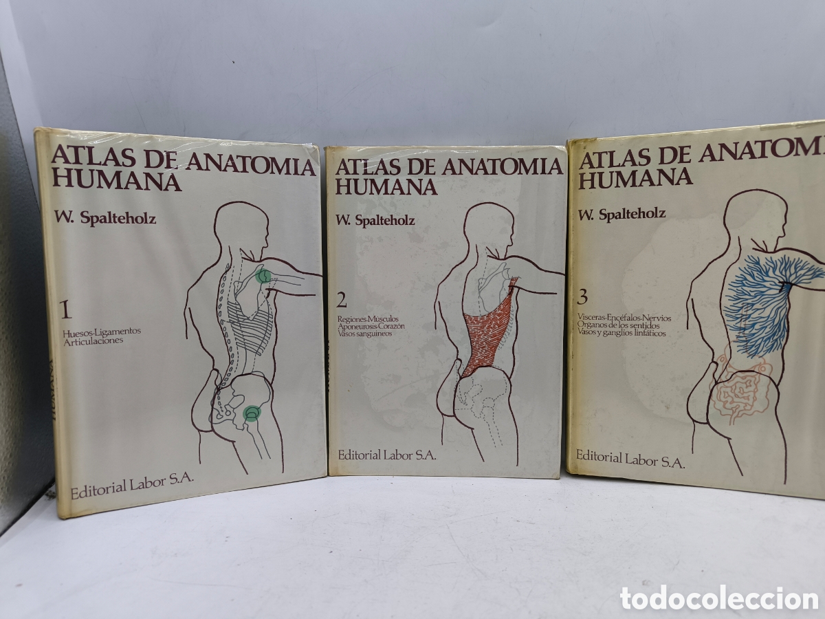 Libri di seconda mano: Atlas de anatom&iacute;a humana. W.Spalteholz.