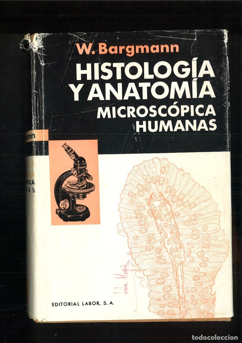 Libros de segunda mano: HISTOLOGIA Y ANATOMIA MICROSCOPICA HUMANA. W. Bargmann
