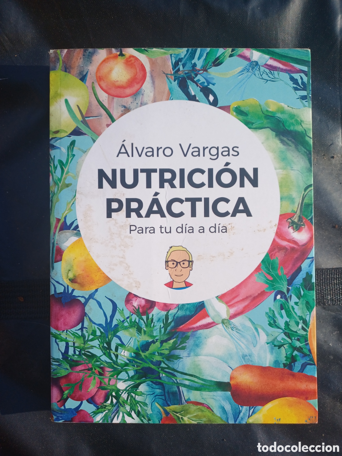 Gebrauchte B&uuml;cher: Nutrici&oacute;n pr&aacute;ctica. Para tu d&iacute;a d&iacute;a. &Aacute;lvaro Vargas.