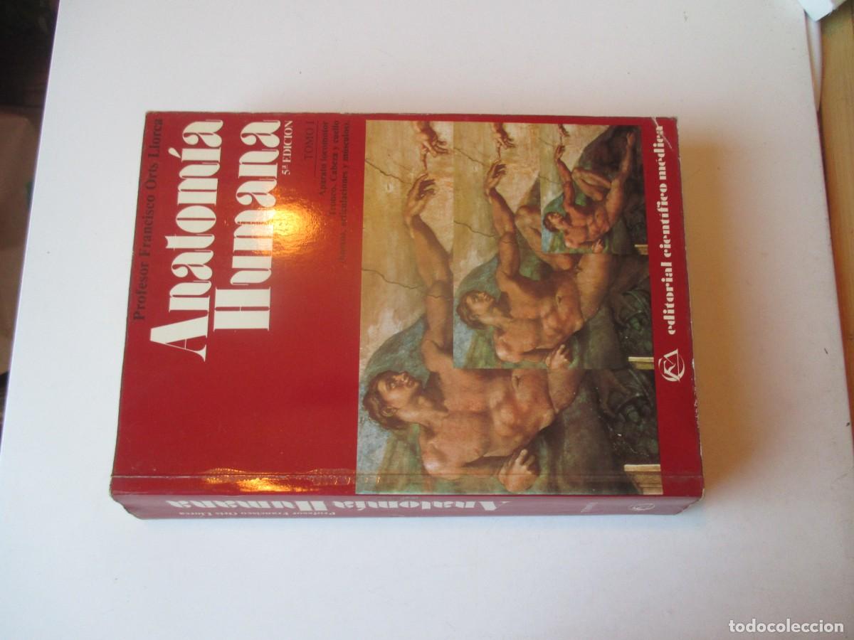 Libros de segunda mano: FRANCISCO ORTS LLORCA Anatom&iacute;a humana Tomo I W40248
