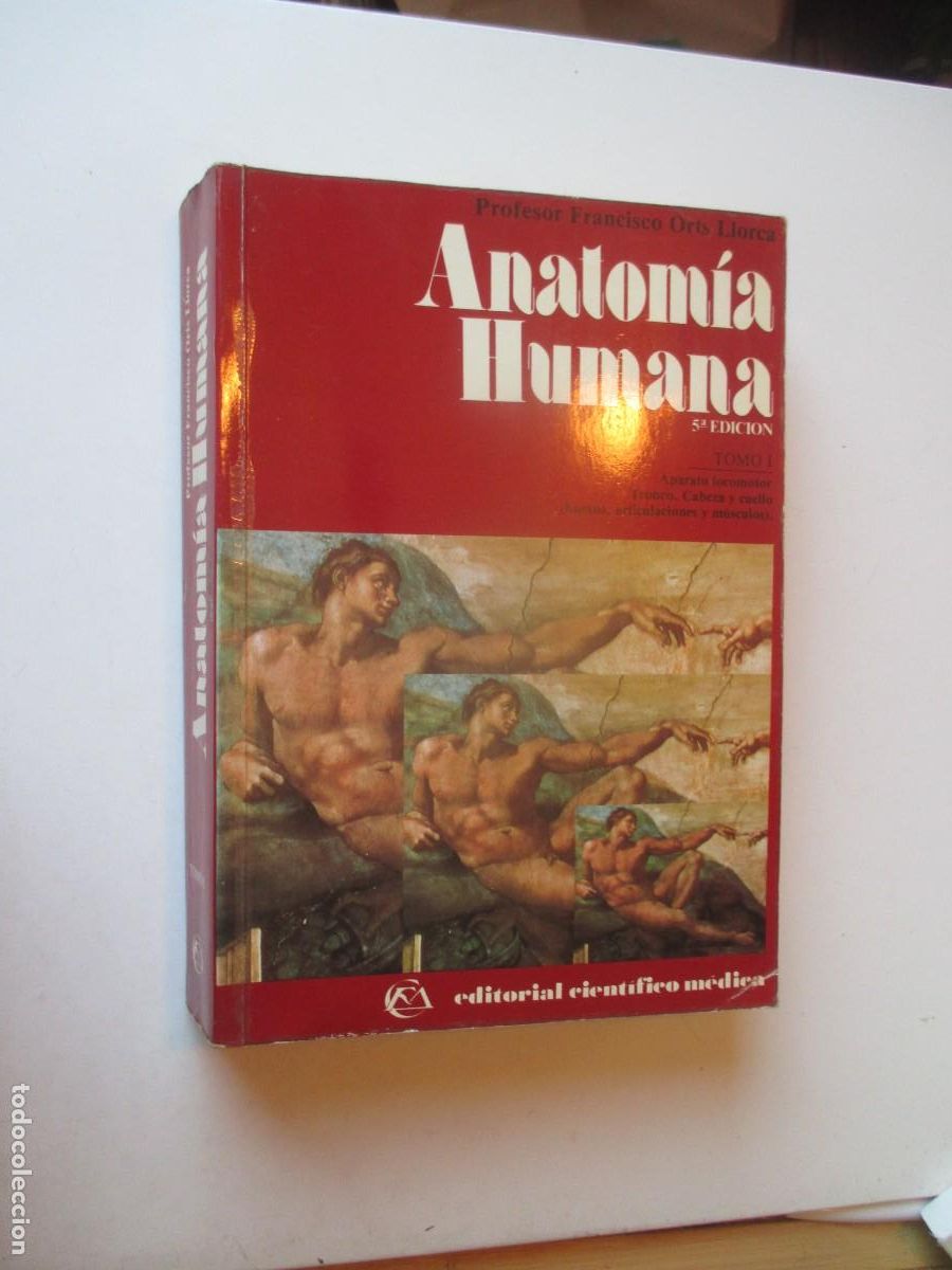 Libros de segunda mano: FRANCISCO ORTS LLORCA Anatom&iacute;a humana Tomo I W40248