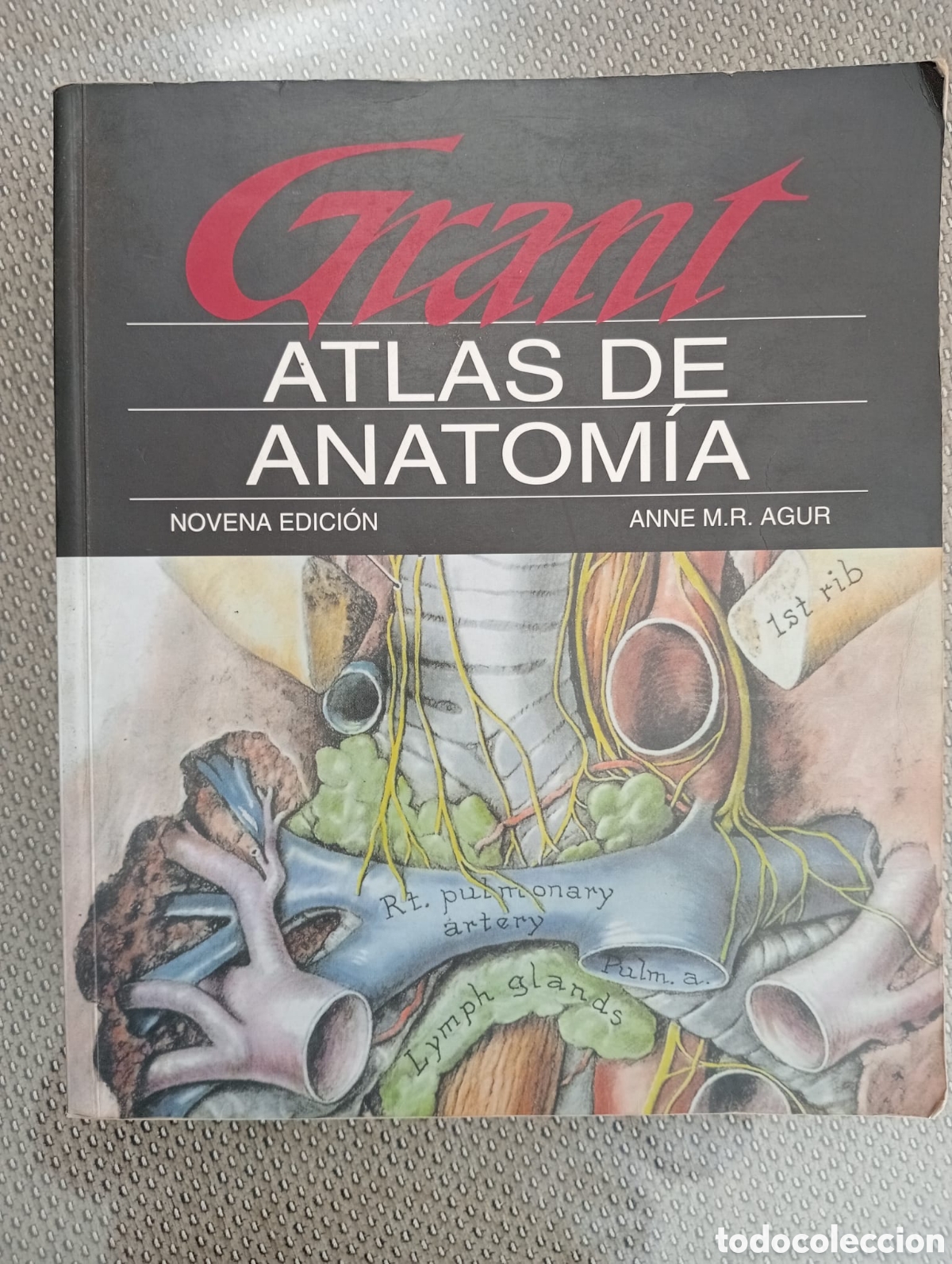 Libros de segunda mano: Atlas de anatom&iacute;a Grant - Anne M.R Agur. Panamericana