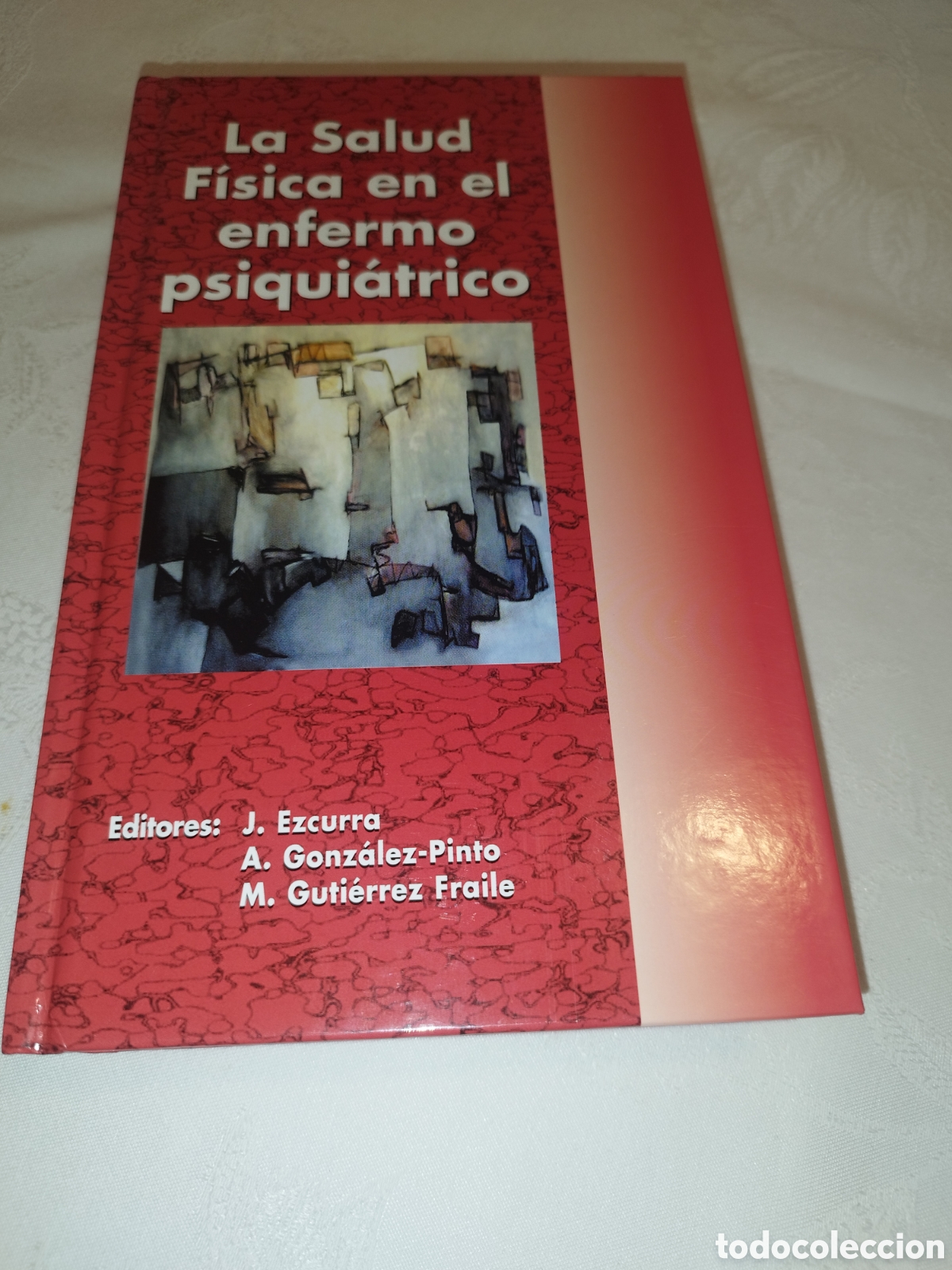 Libros de segunda mano: LA SALUD FISICA EN EL ENFERMO PSIQUIATRICO.- VV.AA. AULA MEDICA, 2008 PRIMERA EDICION.