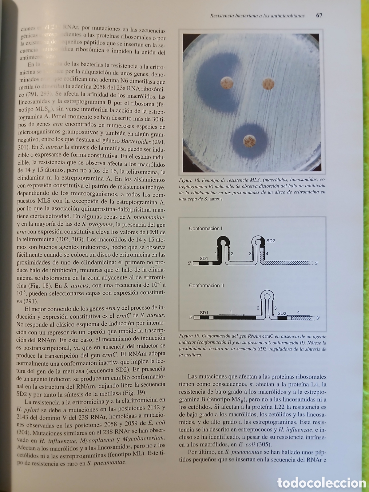 Libros de segunda mano: Antimicrobianos en medicina - Foto 13