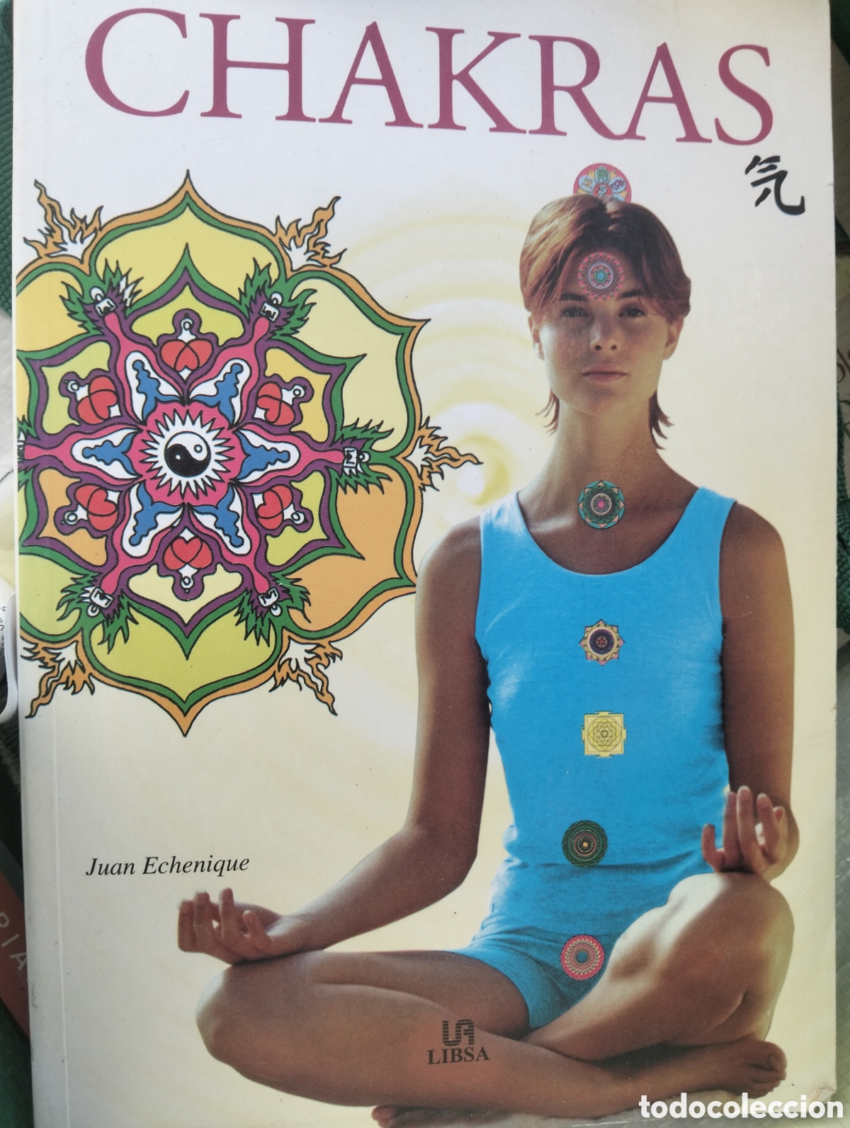 Livres d'occasion: Barybook C12. chakras Echenique Libsa