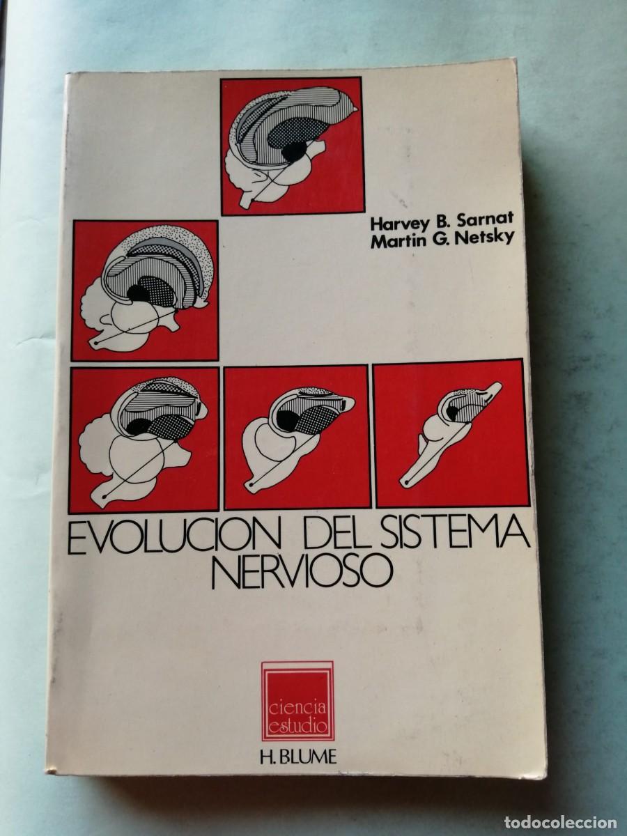 Libros de segunda mano: EVOLUCION DEL SISTEMA NERVIOSO (HARVEY B. SARNAT - MARTIN G. NETSKY)