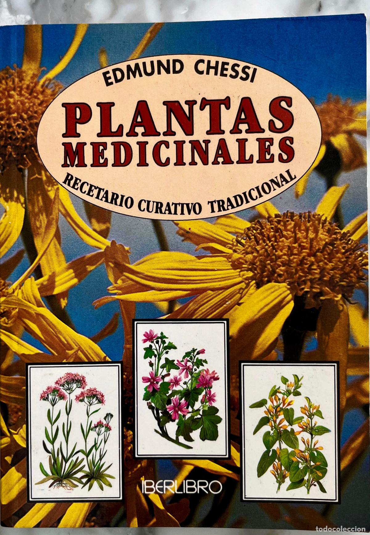 Libros de segunda mano: PLANTAS MEDICINALES. RECETARIO CURATIVO TRADICIONAL. EDMUND CHESSI. 1999