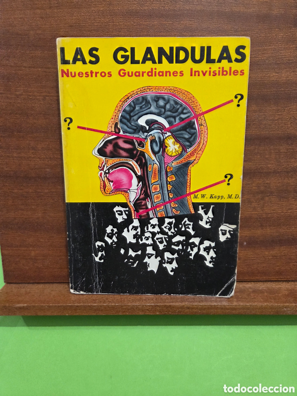 Libros de segunda mano: &rdquo;&rdquo;LAS GL&Aacute;NDULAS, NUESTROS GUARDIANES INVISIBLES&rdquo;&rdquo;...M.W. KAPP, M.D...BIBLIOTECA ROSACRUZ...