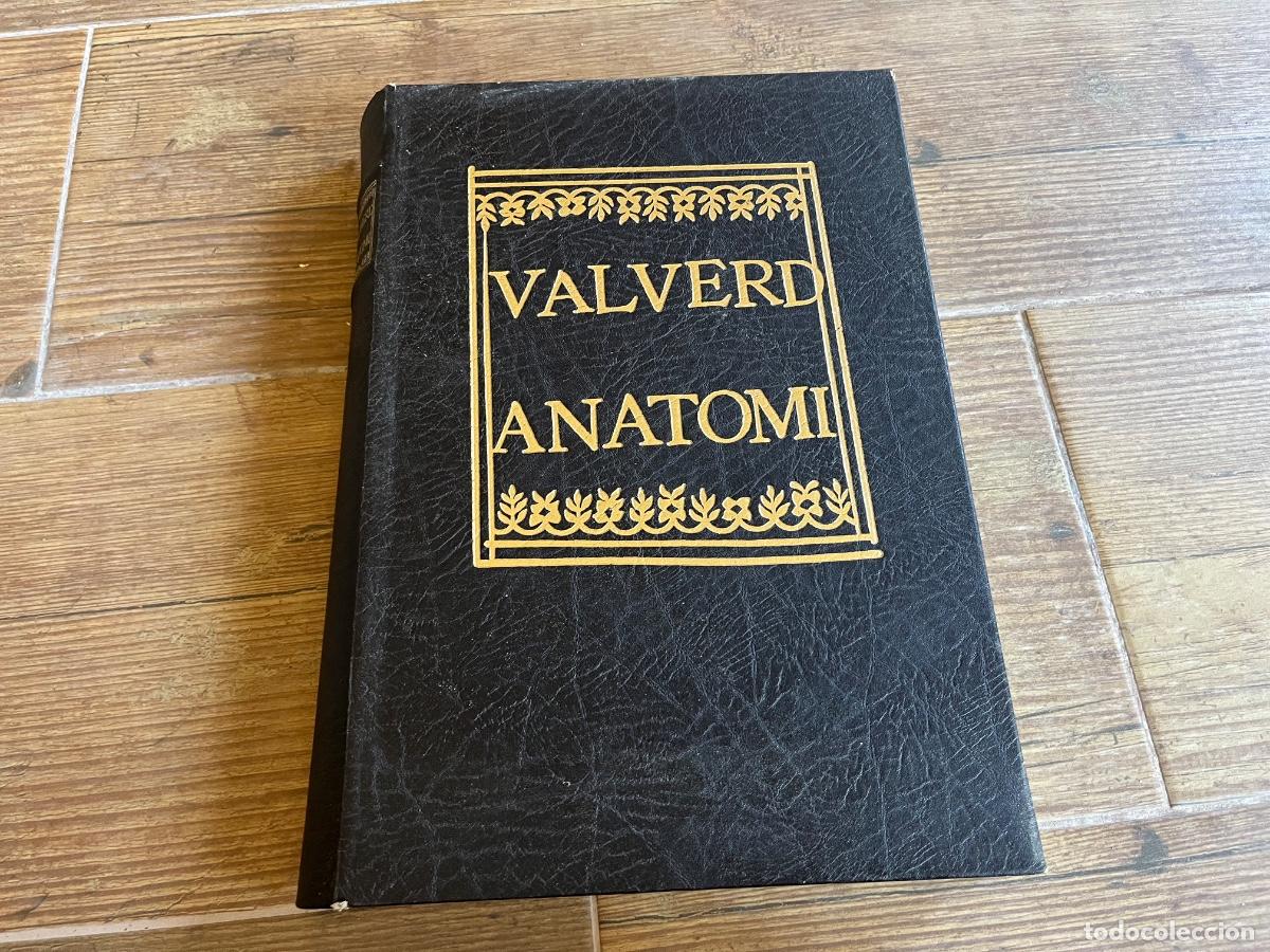 Libros de segunda mano: VALVERD ANATOMI. HISTORIA DE LA ANATOMIA. GIOUANNI VALUERDE. FACSIMIL