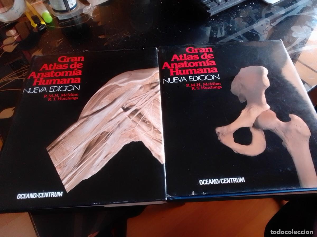 Libros de segunda mano: Atlas de anatom&iacute;a, 2 tomos - Foto 2