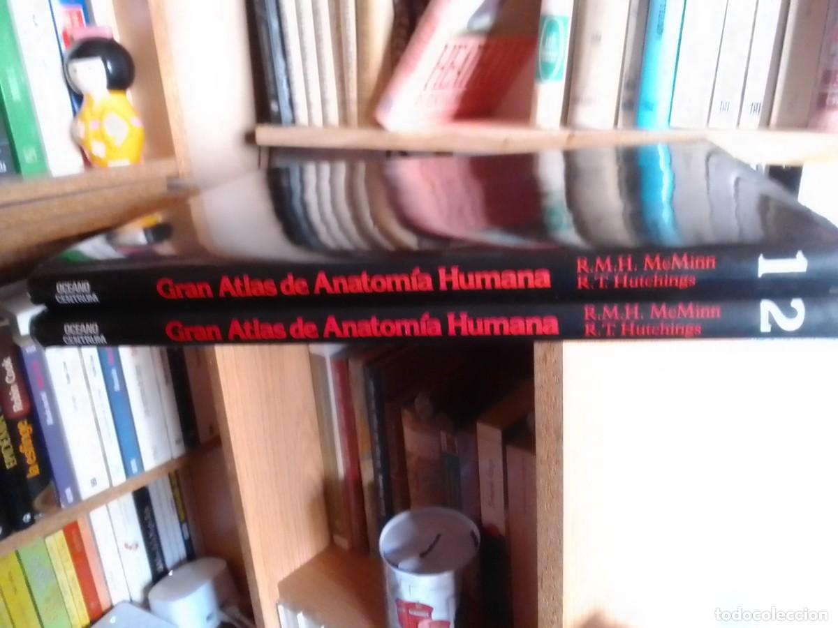Libros de segunda mano: Atlas de anatom&iacute;a, 2 tomos - Foto 5