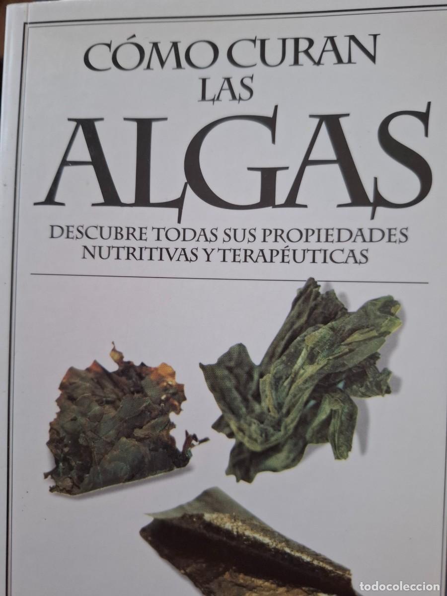 Libros de segunda mano: c&oacute;mo curan las algas Rosa Guerrero