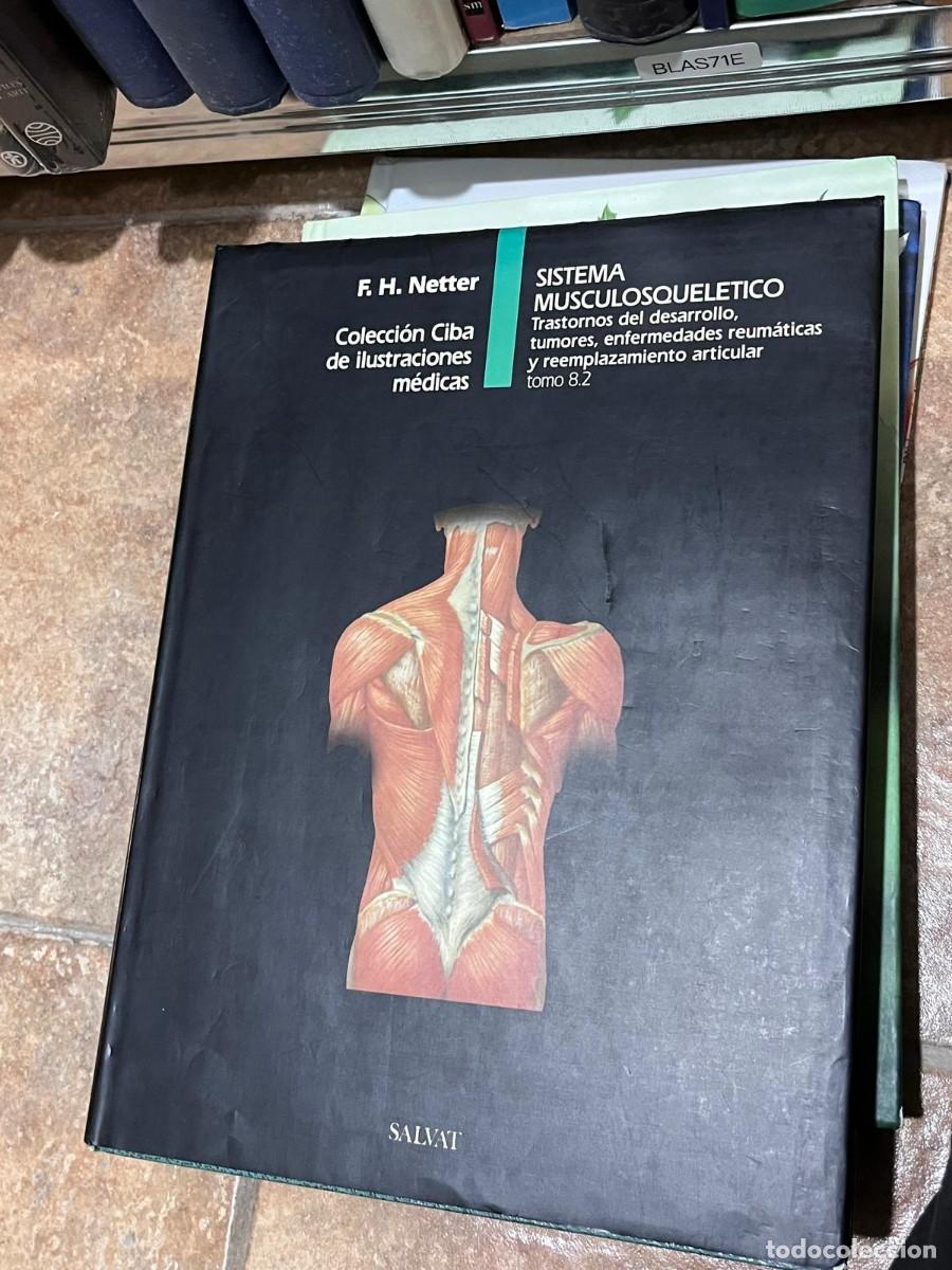 Libros de segunda mano: BLAS71E &ndash; Sistema Musculoesquel&eacute;tico. Trastornos del desarrollo, tumores, enfermedades reum&aacute;ticas...