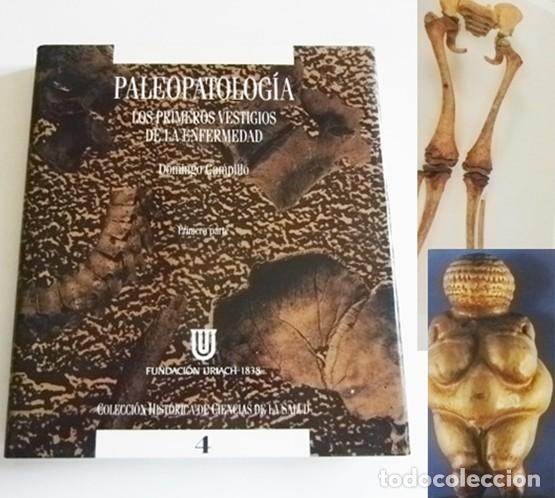 Libros de segunda mano: PALEOPATOLOG&Iacute;A LOS PROMERIOS VESTIGIOS DE LA ENFERMEDAD LIBRO 1&ordf; PARTE RESE&Ntilde;A HIST&Oacute;RICA ENFERMEDADES