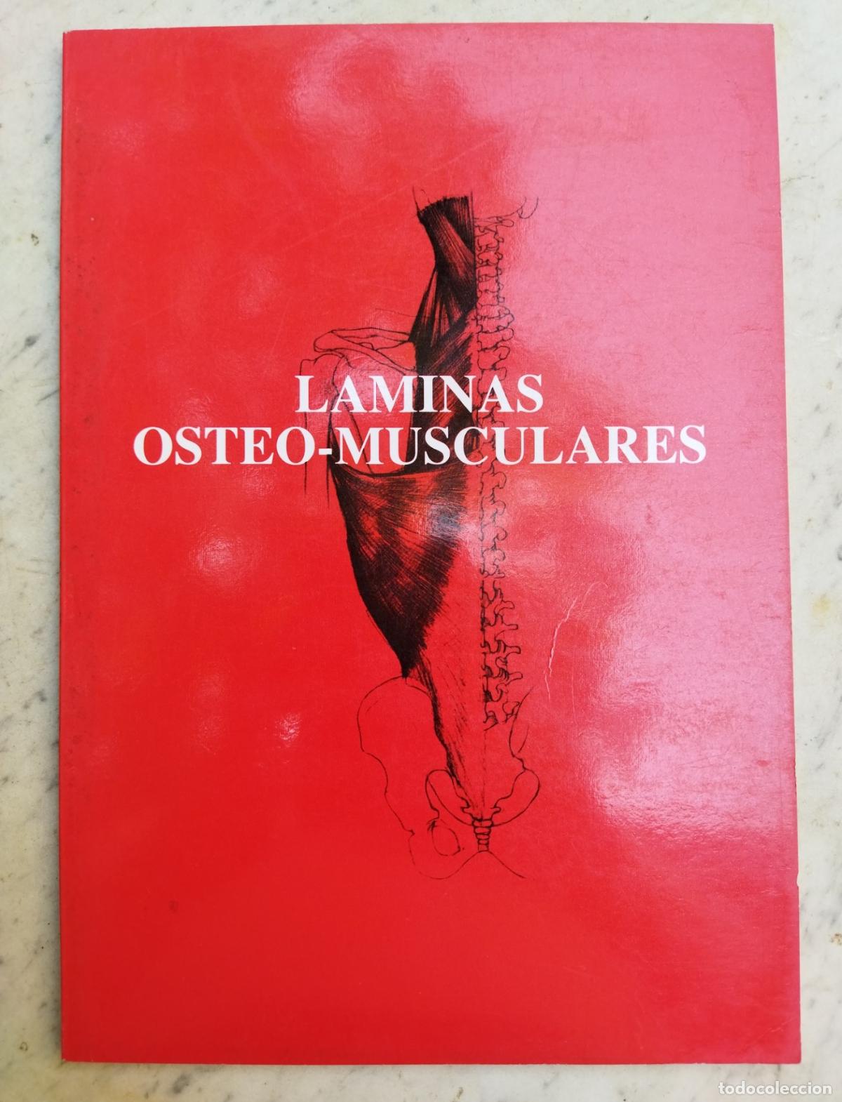 Libros de segunda mano: l&aacute;minas Almirall, osteomusculares