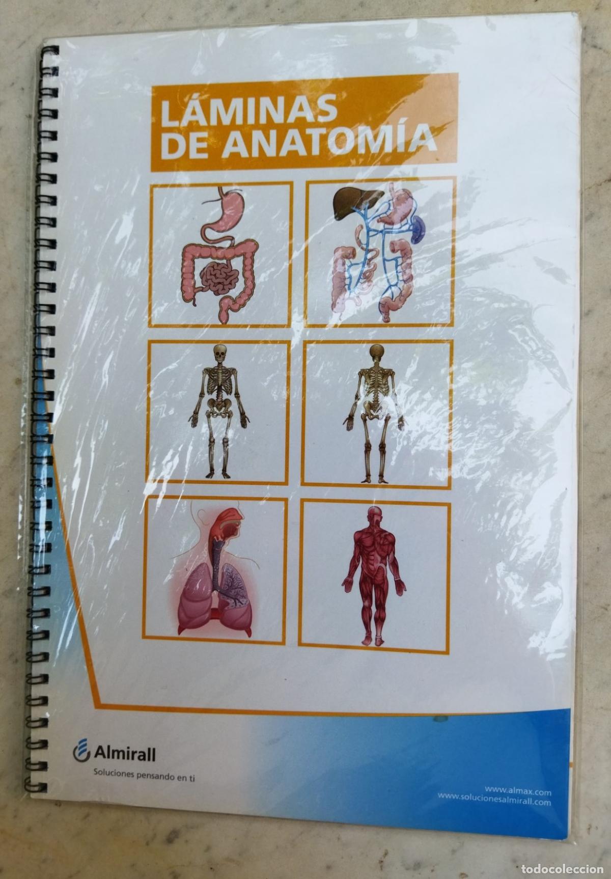 Libros de segunda mano: L&aacute;minas de anatom&iacute;a, Almirall
