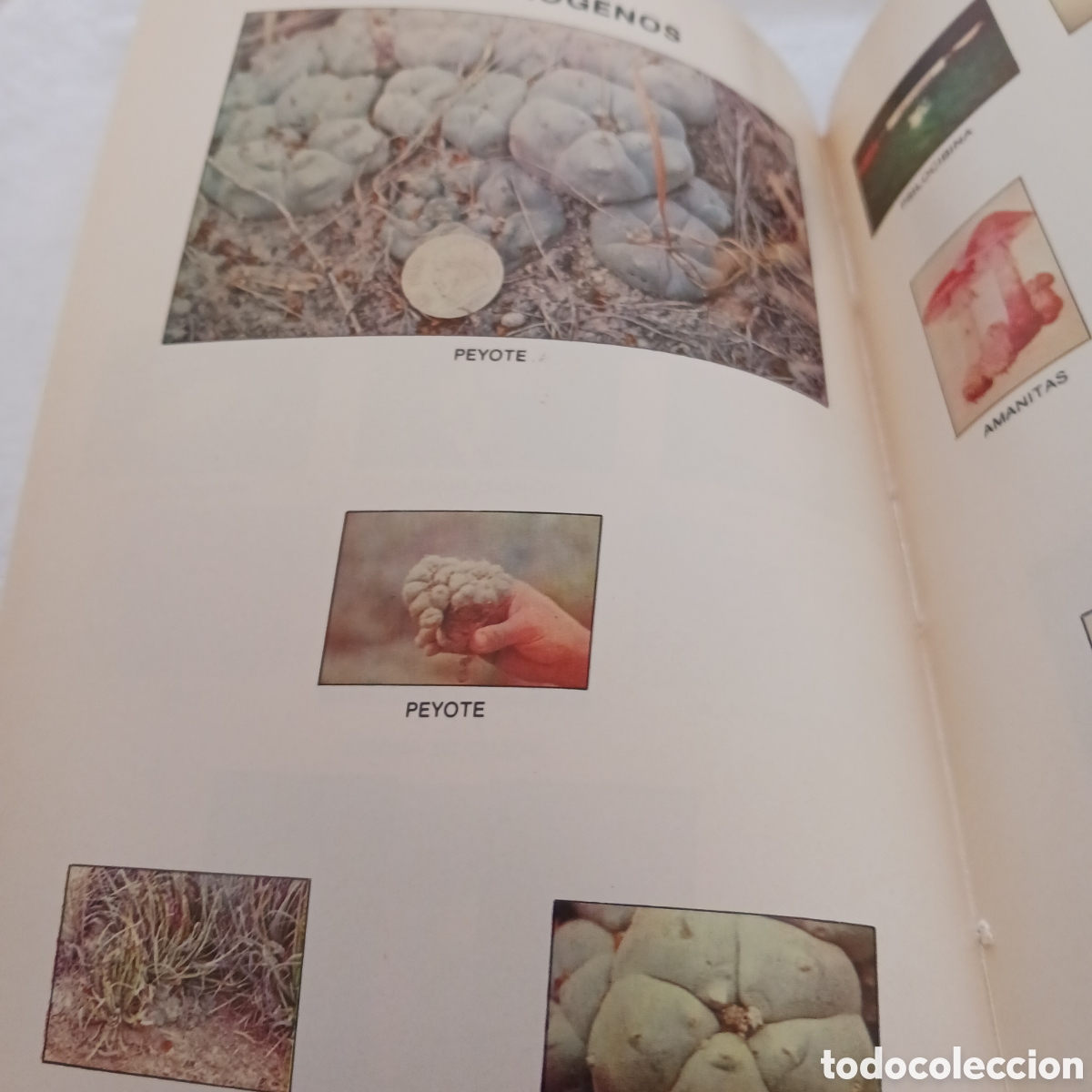 Libros de segunda mano: La Droga es ...,de Octavio Aguar - Foto 8