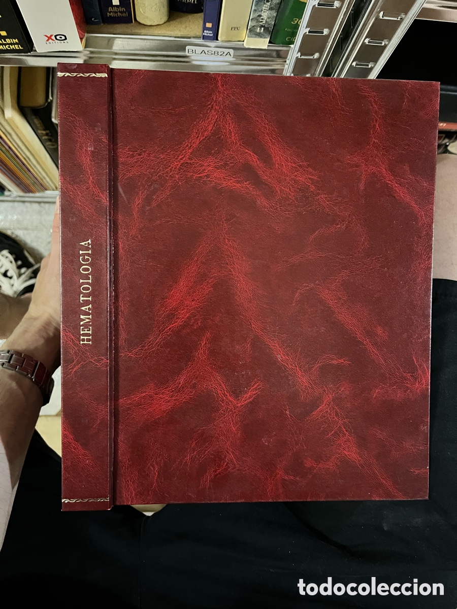 Livres d'occasion: Blas82A HEMATOLOGIA Elementos de diagn&oacute;stico pr&aacute;ctico.