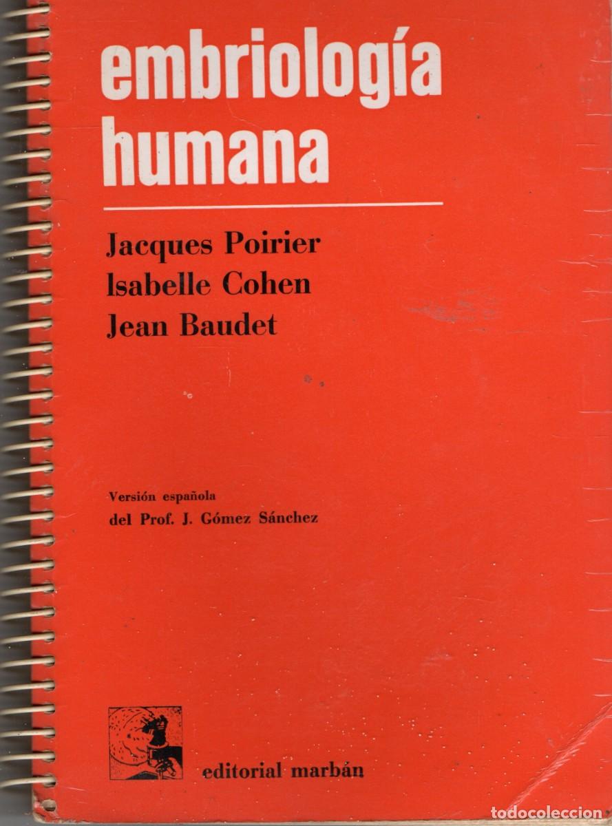Libros de segunda mano: EMBRIOLOGIA HUMANA. VV.AA. A-MEDI-1254