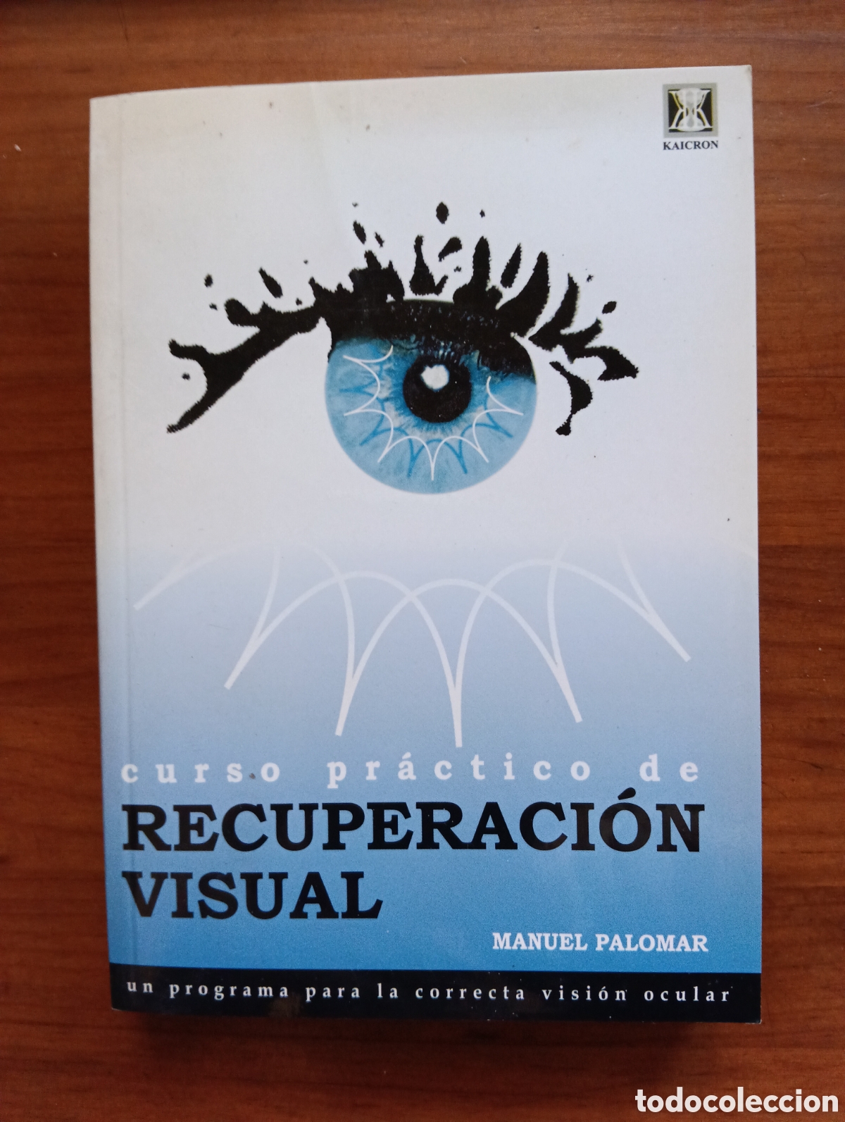 Libros de segunda mano: Curso pr&aacute;ctico de recuperaci&oacute;n visual, Manuel Palomar