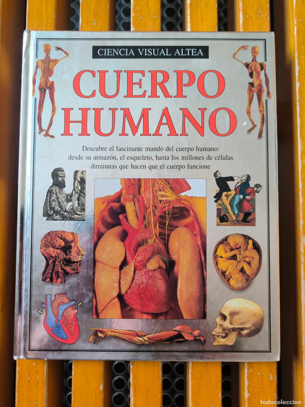Gebrauchte B&uuml;cher: CUERPO HUMANO VISUAL ALTEA - libro