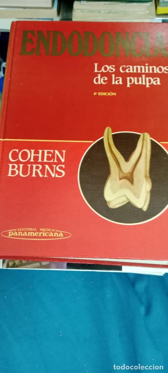 Libros de segunda mano: ENDODONCIA COHEN BURNS LOS CAMINOS DE LA PULPA LIBRO G-40