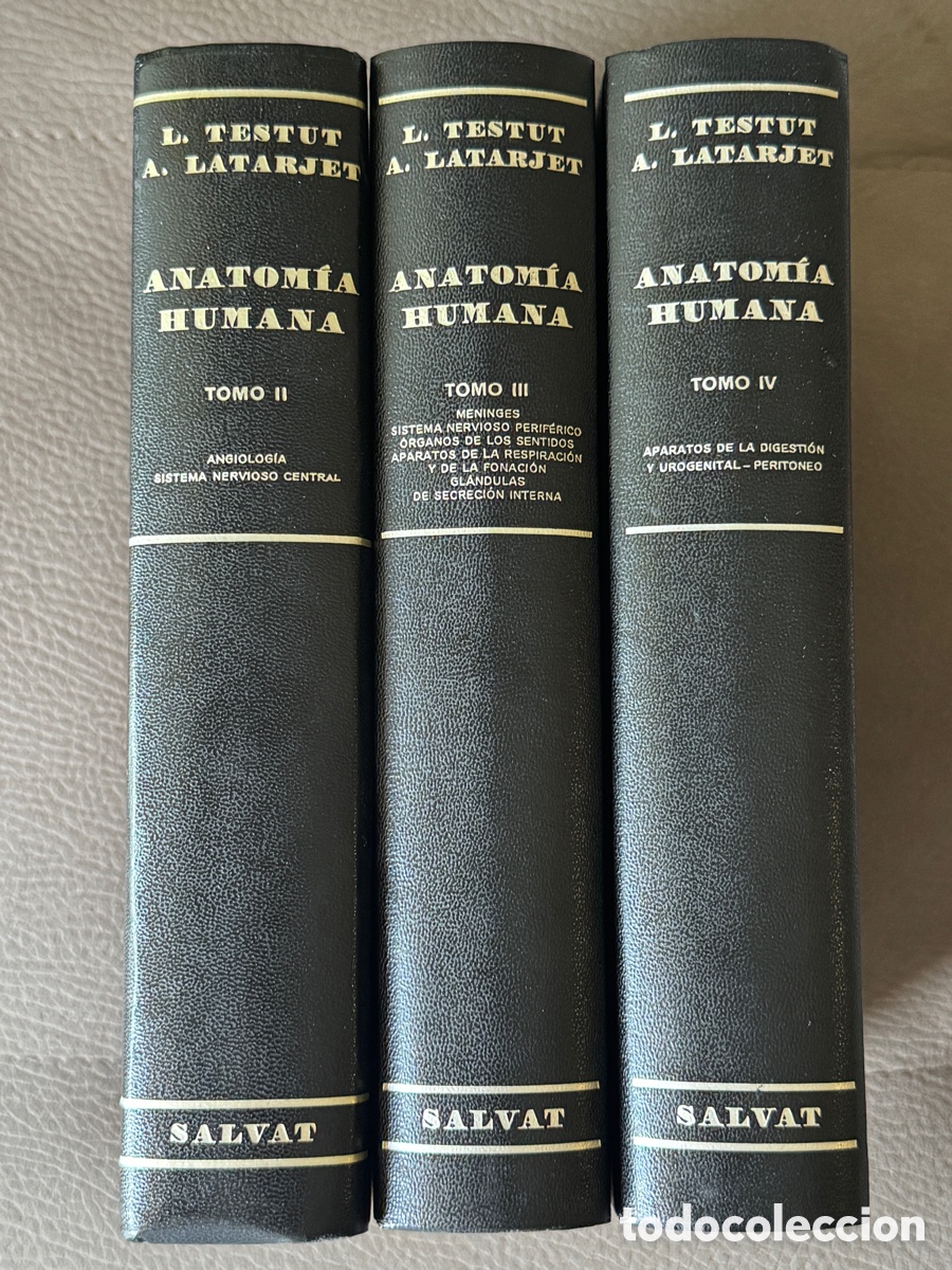 Libros de segunda mano: Anatom&iacute;a humana L. Testut, A. Latarjet - Tomo II, III, IV