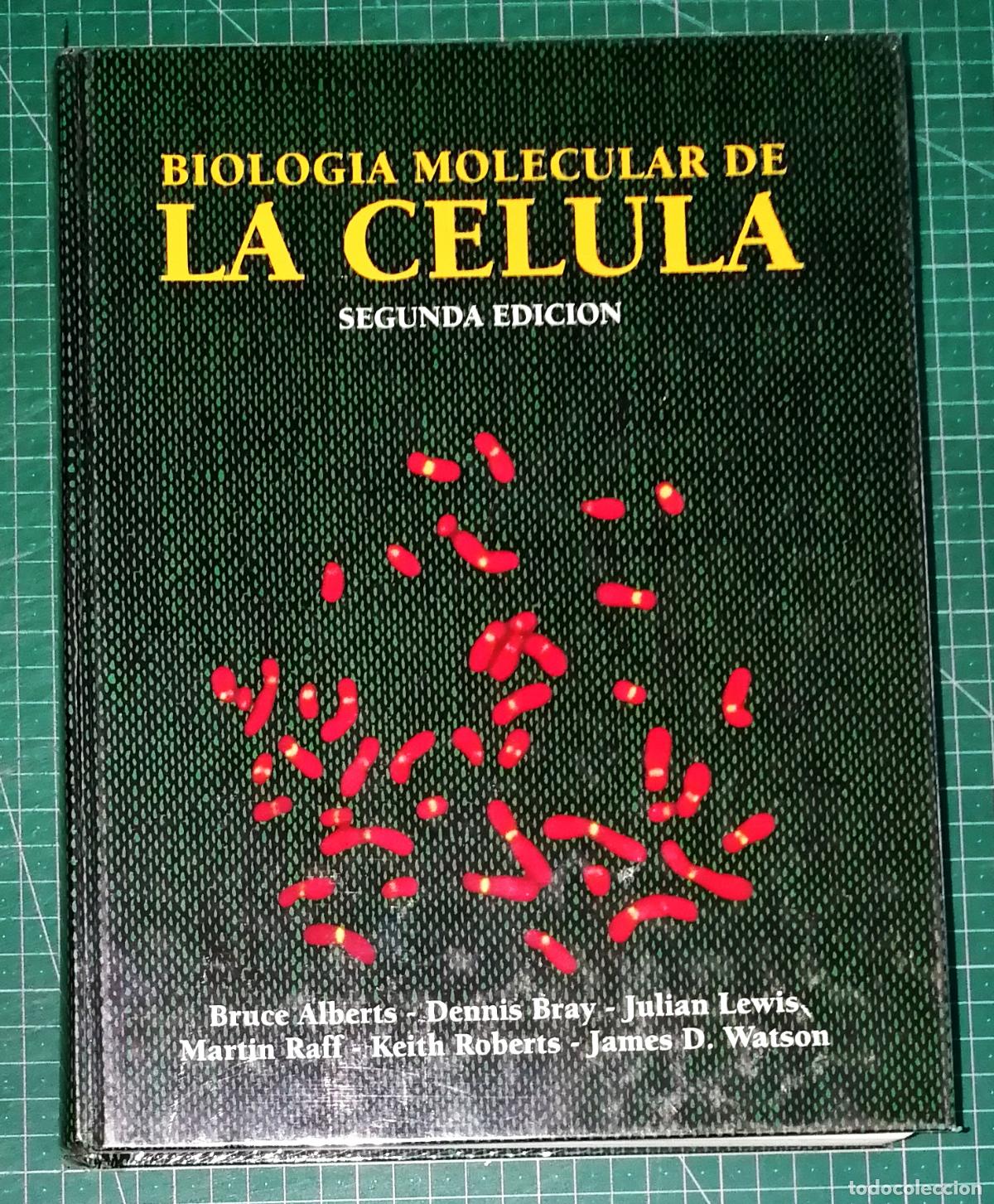 Libros de segunda mano: BIOLOG&Iacute;A MOLECULAR DE LA C&Eacute;LULA / Bruce Alberts, Dennis Bray, Julian Lewis... - Omega, 1994