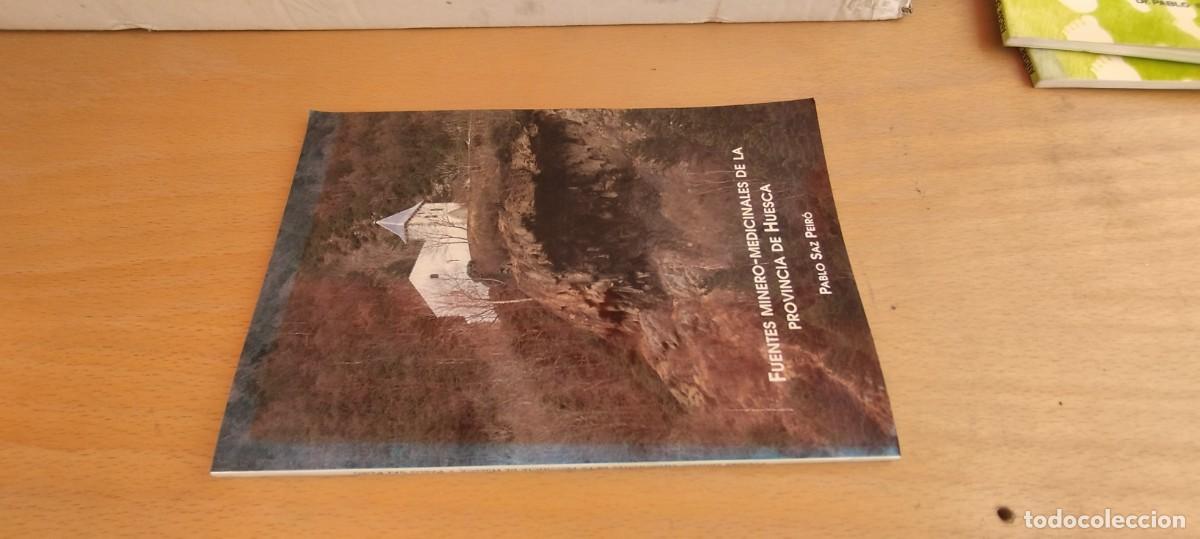 Libros de segunda mano: FUENTES MINERO MEDICINALES DE LA PROVINCIA DE HUESCA / PABLO SAZ PEIRO / KARA 25