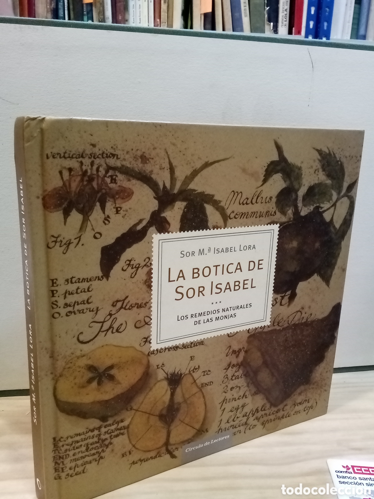 Second hand books: Sor M.&ordf; Isabel Lora - La botica de sor Isabel. Los remedios naturales de las monjas
