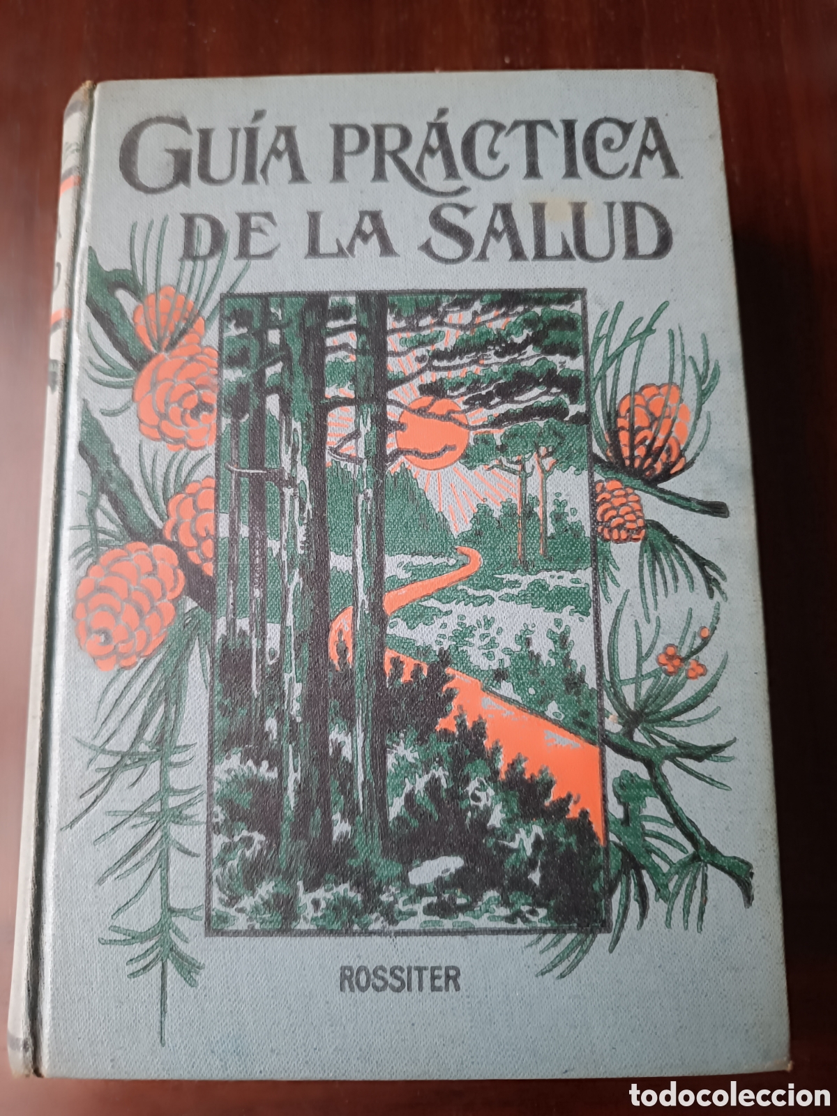 Livres d'occasion: Guia pr&aacute;ctica de la salud - Federico Rossiter