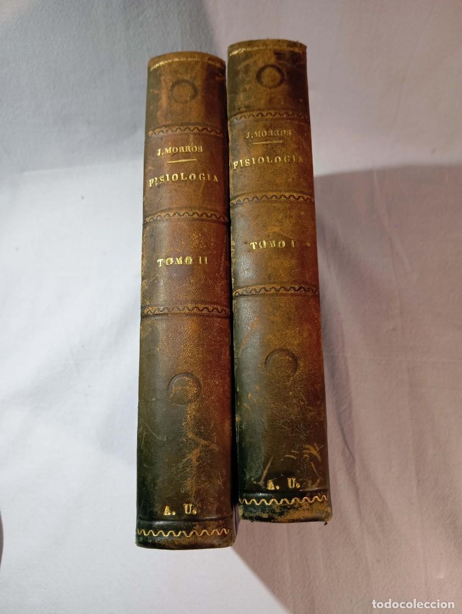 Libros de segunda mano: Elementos De Fisiolog&iacute;a Jos&eacute; Morros Sard&aacute; 1949 Obra Completa 2 Tomos Pr&oacute;logo Gregorio Mara&ntilde;&oacute;n