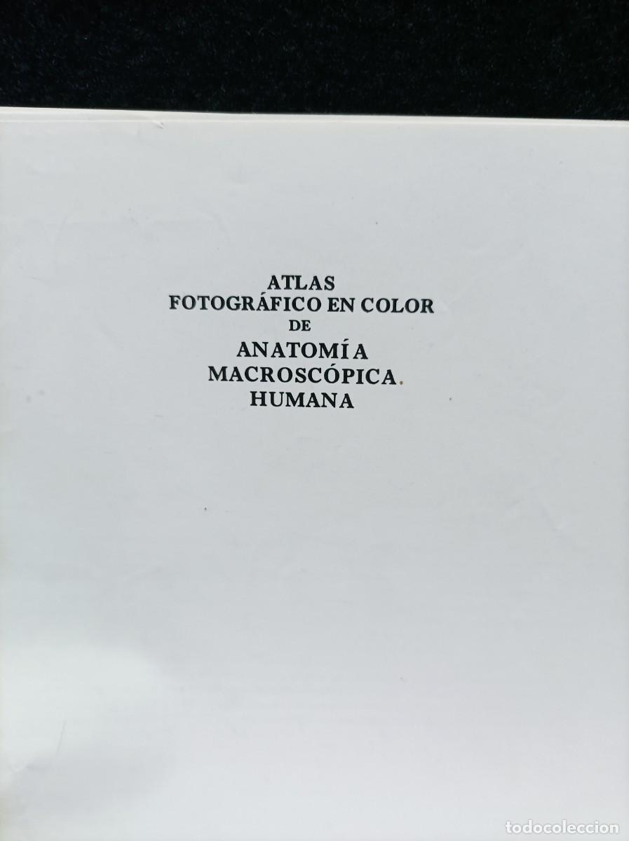 Libros de segunda mano: Laminas Atlas Fotografico Anatomia Macroscopica Humana - SIN ENCUADERNAR