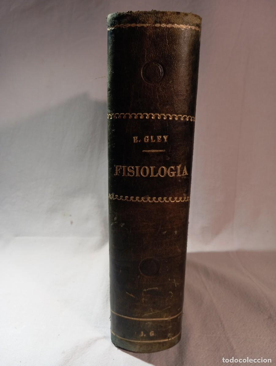 Libros de segunda mano: Tratado De Fisiolog&iacute;a E. Gley 1926 Sexta Edici&oacute;n Salvat Bellido Ilustrado Encuadernado Piel