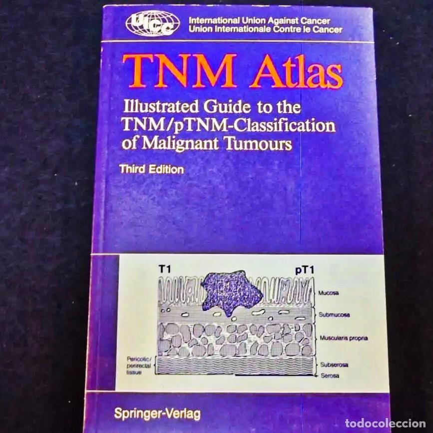 Livros em segunda m&atilde;o: TNM ATLAS.ILUSTRATED GUIDE TO THE TNM/pTNM-CLASSIFICATION OF MALIGNANT TUMORS.SPRINGER-VERLAG