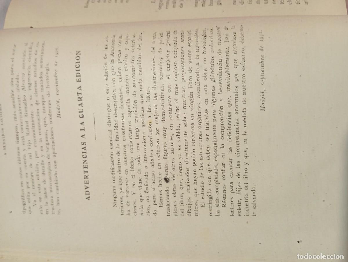 Libros de segunda mano: Anatomia Comparada De Los Animales Domesticos 1941 Cuarta Edicion