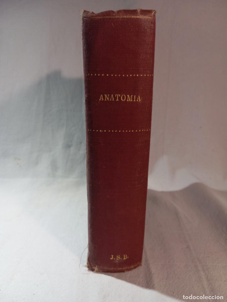 Libros de segunda mano: Anatomia Comparada De Los Animales Domesticos 1941 Cuarta Edicion