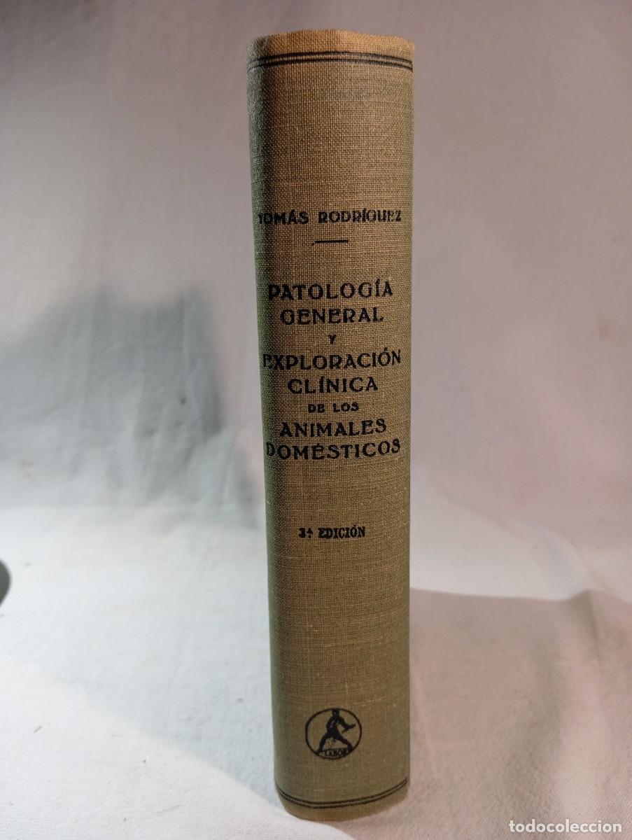 Libros de segunda mano: Patolog&iacute;a General y Exploraci&oacute;n Cl&iacute;nica de los Animales Dom&eacute;sticos - Tom&aacute;s Rodr&iacute;guez - Editorial Lab