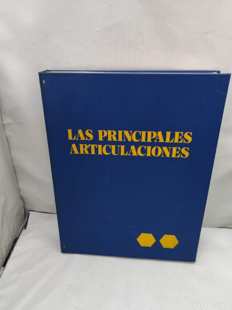 Libros de segunda mano: Atlas Anat&oacute;mico: Las Principales Articulaciones: OBRA COMPLETA MSD Merck Sharp Dohme (7 Fasc&iacute;culos)