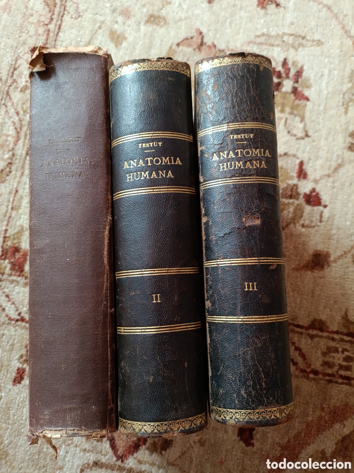 Libri di seconda mano: &ldquo;Testut &ndash; Tratado de Anatom&iacute;a Humana &middot; Tomos I&ndash;III &middot; Salvat 1944&ndash;45 &middot; Ilustrado&rdquo;