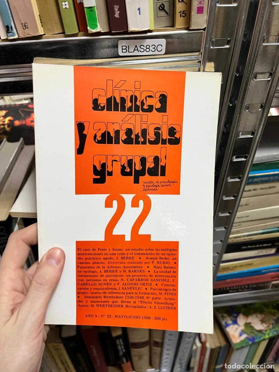 Libros de segunda mano: BLAS83C &ndash; Revista Cl&iacute;nica y An&aacute;lisis Grupal, n&ordm; 22, mayo/junio 1980. Intervenci&oacute;n en crisis, psicosi