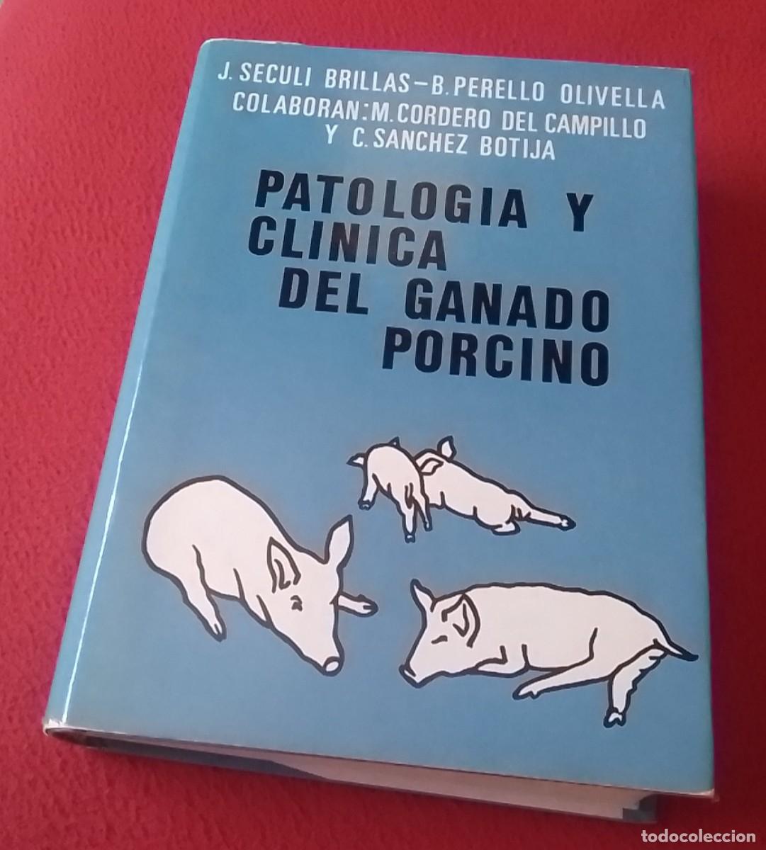 Libros de segunda mano: ANTIGUO LIBRO PATOLOG&Iacute;A Y CL&Iacute;NICA DEL GANADO PORCINO J. SECULI BRILLAS 1980 PRODUCTOS NEOSAN..CERDO.
